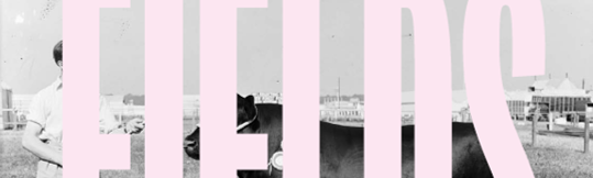 FIELDS Cover.png