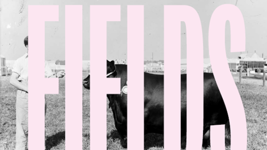 FIELDS Cover.png An old black and white image of a bull wearing a rosette. The bull wears a halter and is being held by a handler wearing a white coat. The text 'FIELDS' is imposed over the image in pink font.