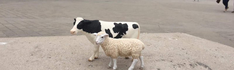 Animals Paris 3