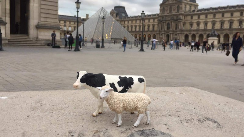 Animals Paris 3