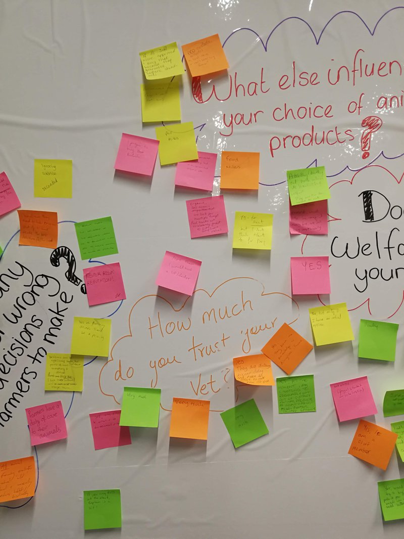 Our thought wall