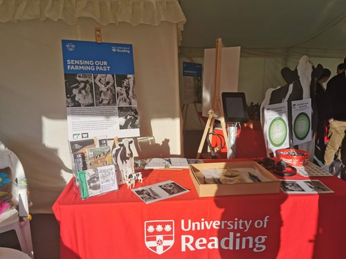 Berkshire Show Stand