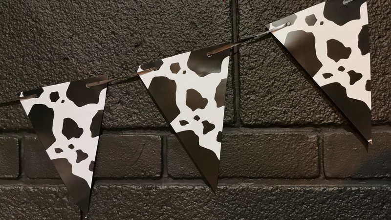 Cow Bunting
