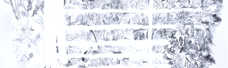 field_gate_sketch_wild.png